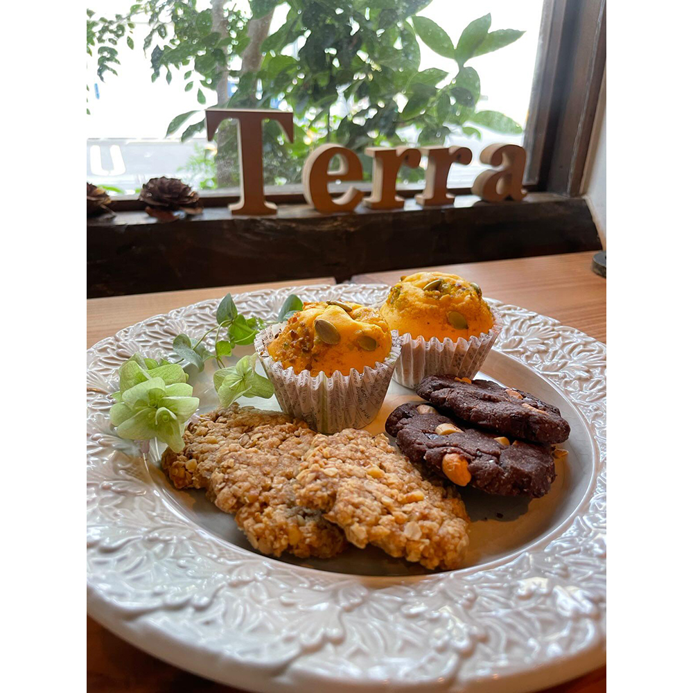 Vegan Cafe terra